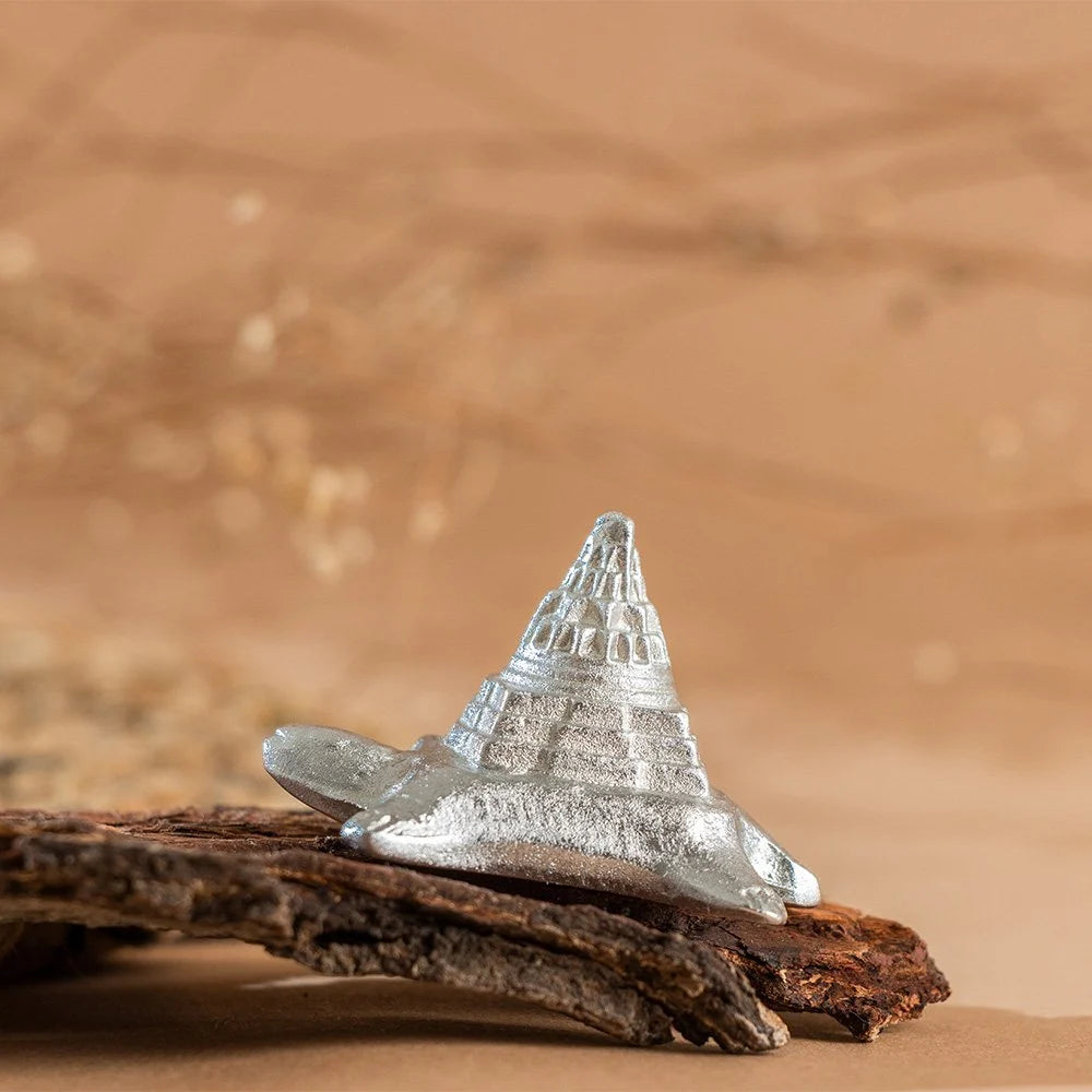 Mercury Shree Yantra on Tortoise (72 gm)