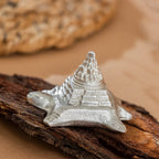Mercury Shree Yantra on Tortoise (72 gm)