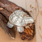 Mercury Tortoise (72 gm)