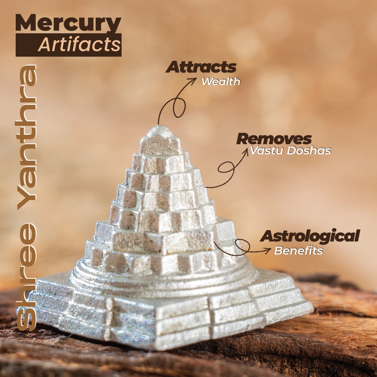 Parad/Mercury Sri Shree Yantra (50 gm)