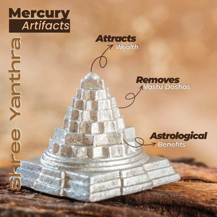 Parad/Mercury Sri Shree Yantra (50 gm)