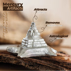 Mercury Shree Yantra on Tortoise (72 gm)