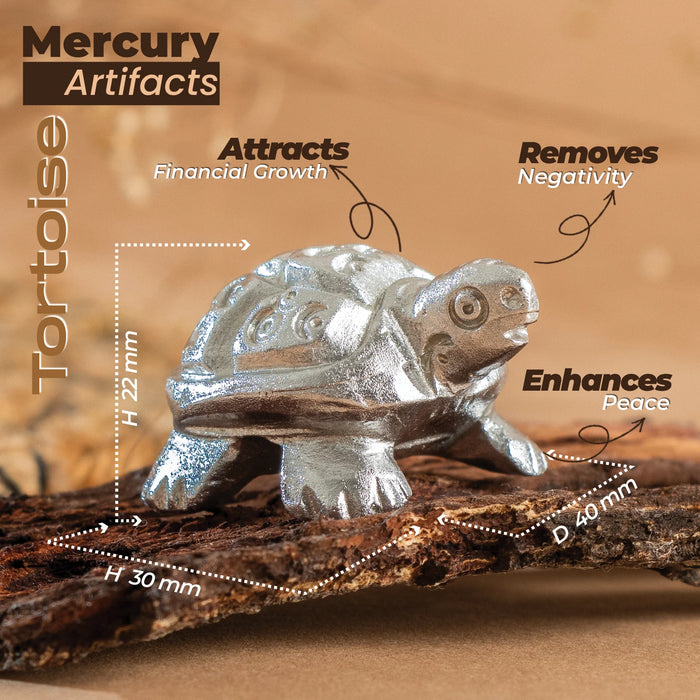 Mercury Tortoise (72 gm)