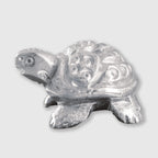 Mercury Tortoise (72 gm)