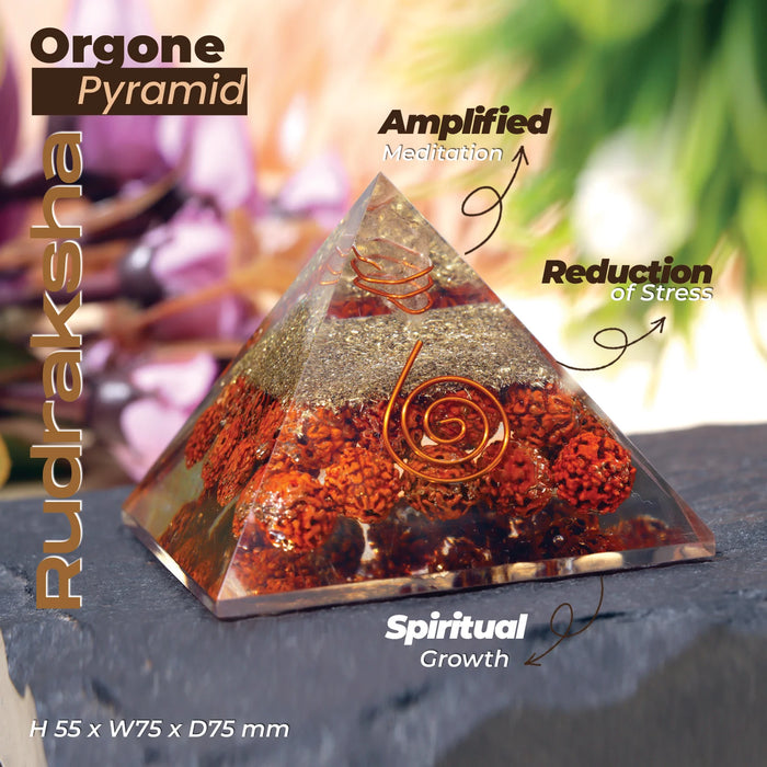Organe Rudraksha Pyramid