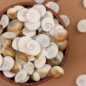 Gomati Chakra