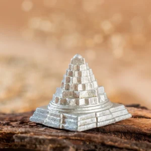 Parad/Mercury Sri Shree Yantra (50 gm)