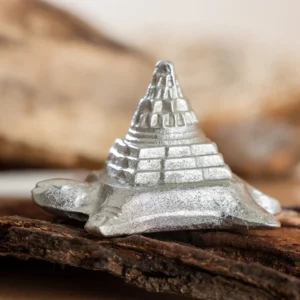 Mercury Shree Yantra on Tortoise (72 gm)